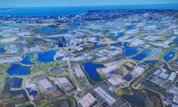 Petits éléments qui s'illuminent !